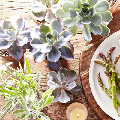 Potted succulents make modern wedding centerpieces. Depending on the size of your tables, start with 3-6 plants and layer them with candles. Let guests know they can cop the plants at the end of the r…