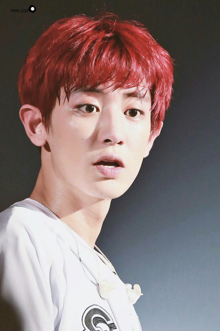 朴灿烈 EXO三巡The EXO'rDIUM in 首尔演唱会
