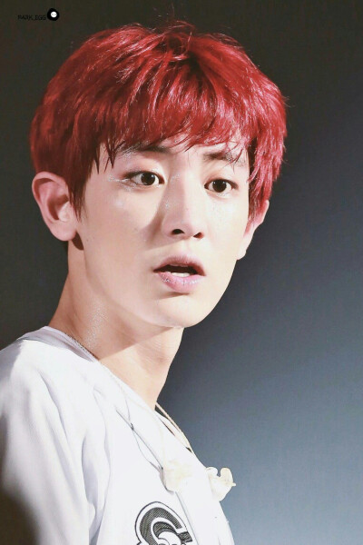 朴灿烈 EXO三巡The EXO'rDIUM in 首尔演唱会