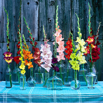 All Together Now Get a lot of impact out of one type of flower by buying or cutting it in a rainbow of colors. Sturdy-stalked gladiolas are perfect for one-stem arrangements placed in salvaged glass b…