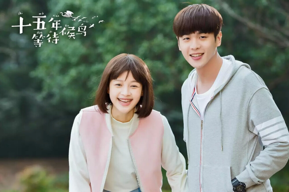 十五年等待候鸟