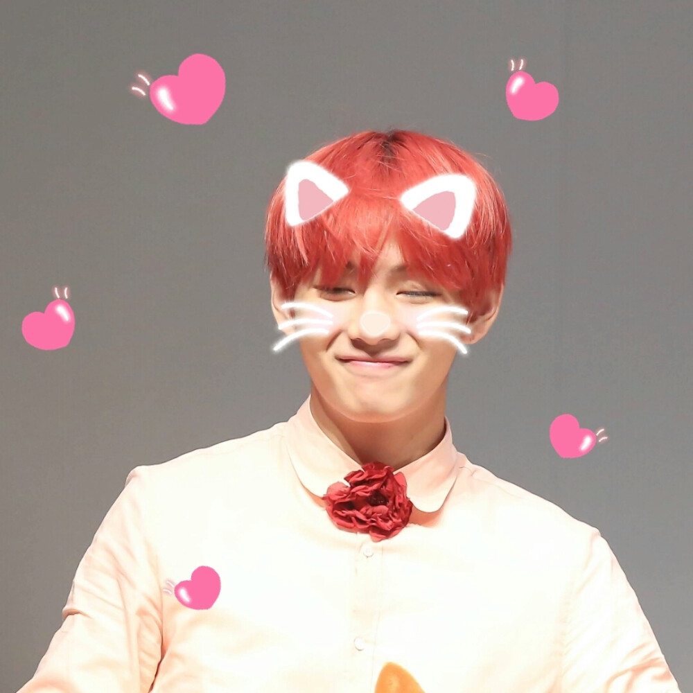 金南俊 ,金硕珍,闵玧其 ,郑号锡 ,朴智旻 ,金泰亨 ,田正国 ,bts!