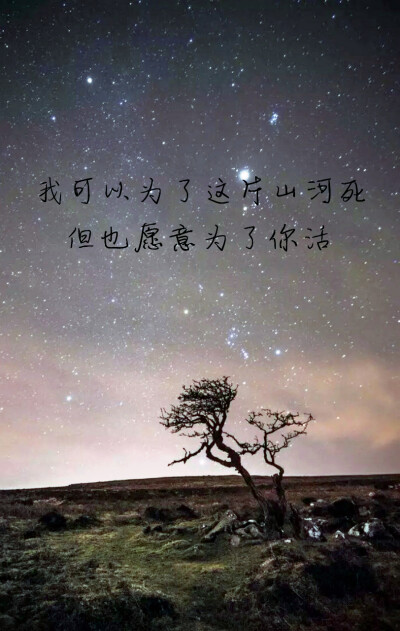 叶非夜新书