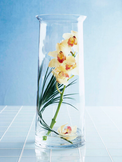 Twist a small palm frond or banana leaf into a tall cylinder vase as a backdrop for a delicate white orchid branch (available at most flower shops). Float a single blossom at the bottom of the vase an…