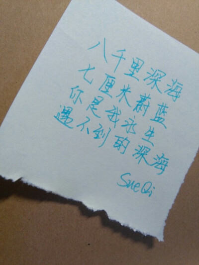 SueQi 语录 练字 手写 句子