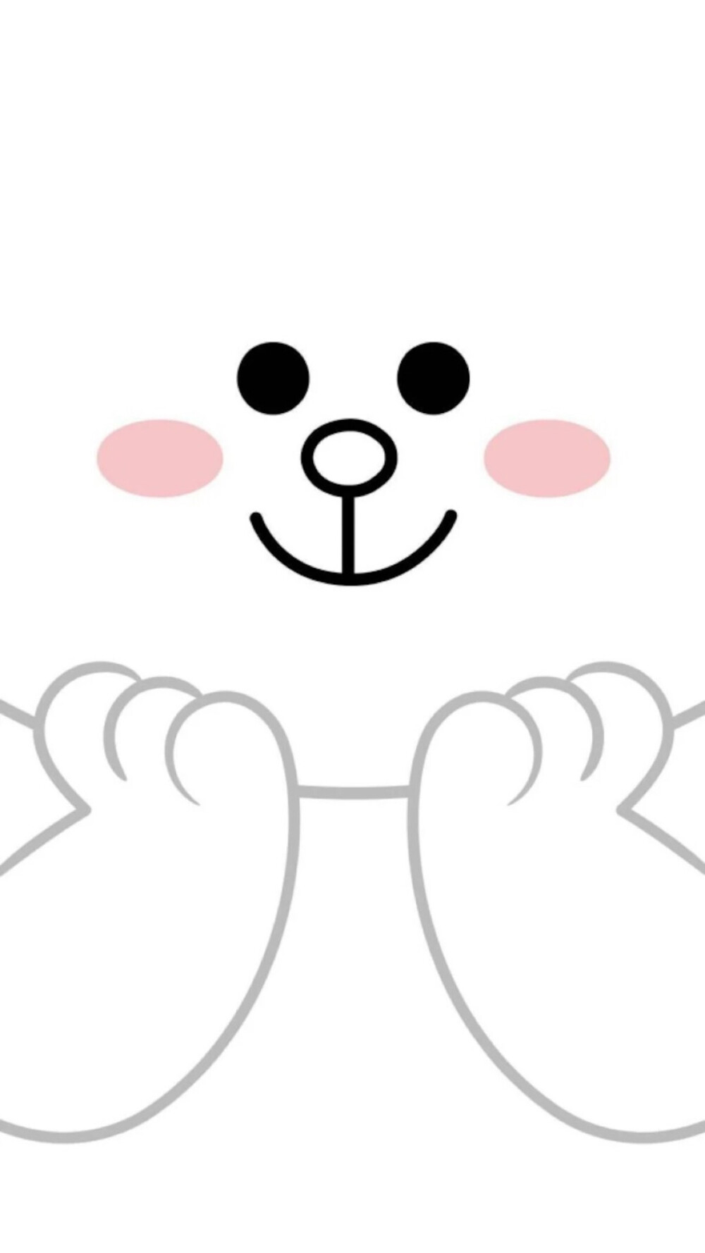 Line Friends 布朗熊 ➕ 可妮兔