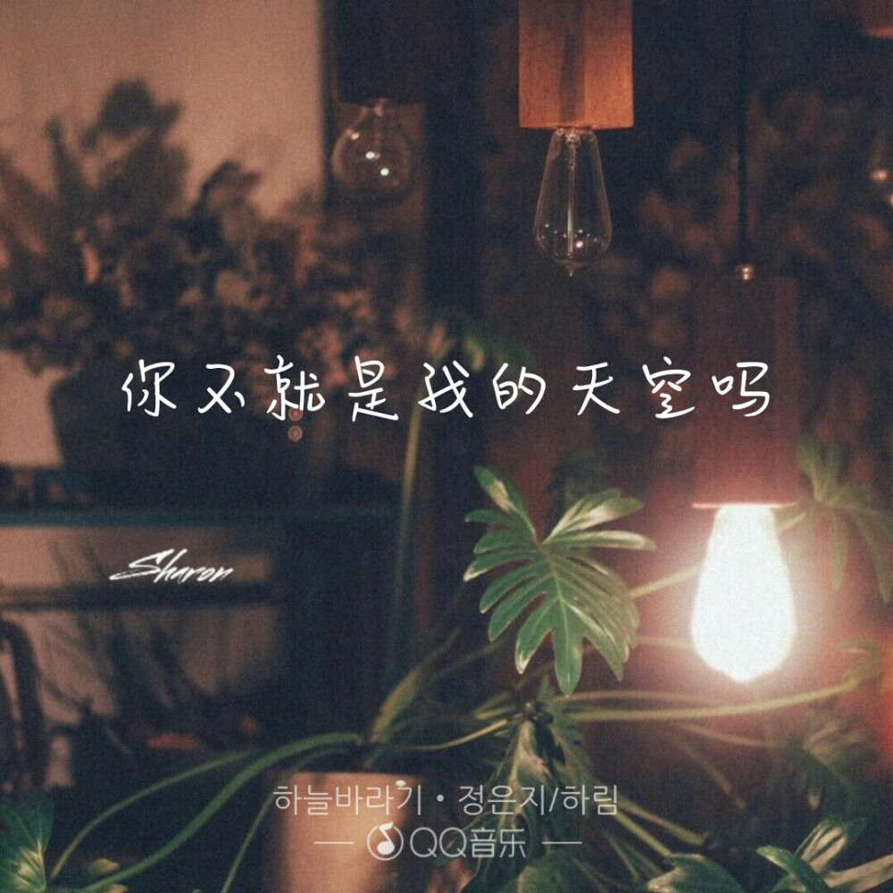 希望天空-郑恩地