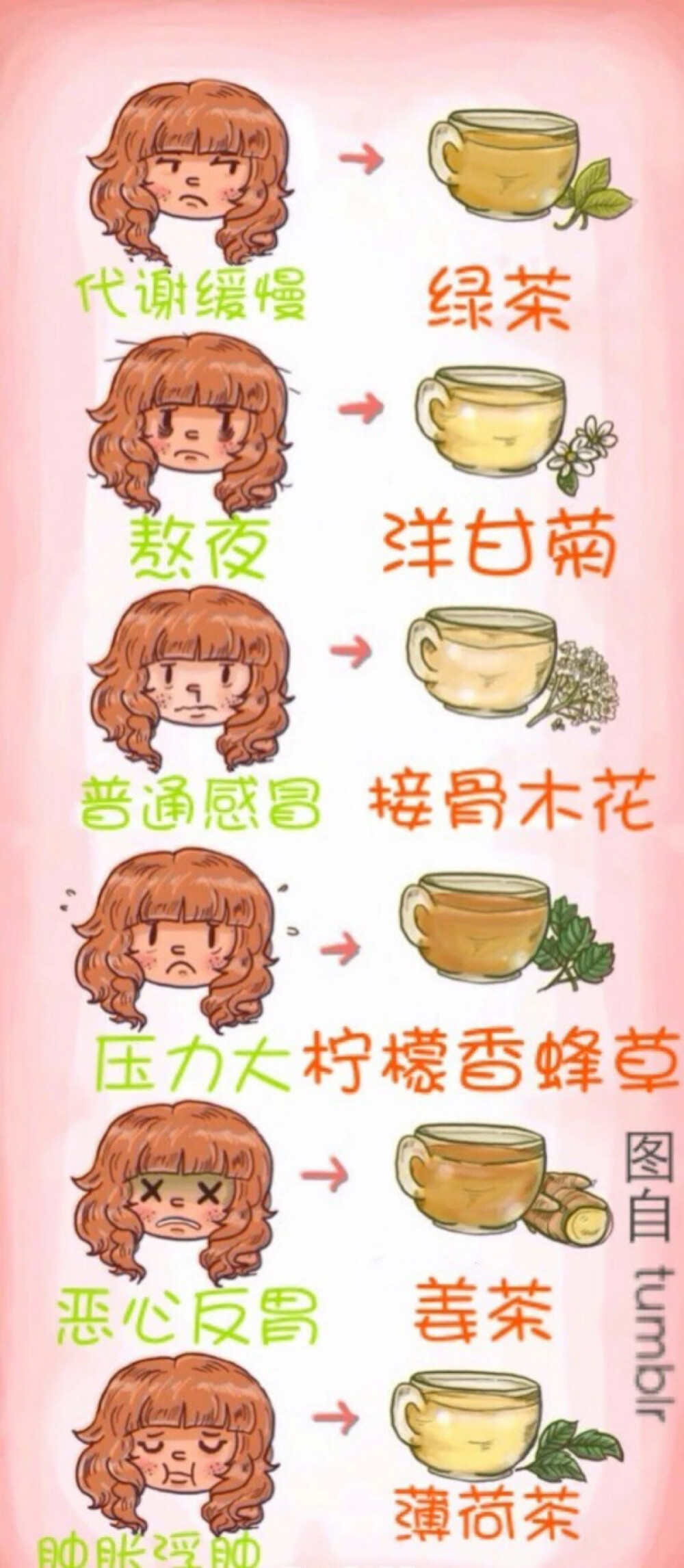 各种花茶对应适应的症状