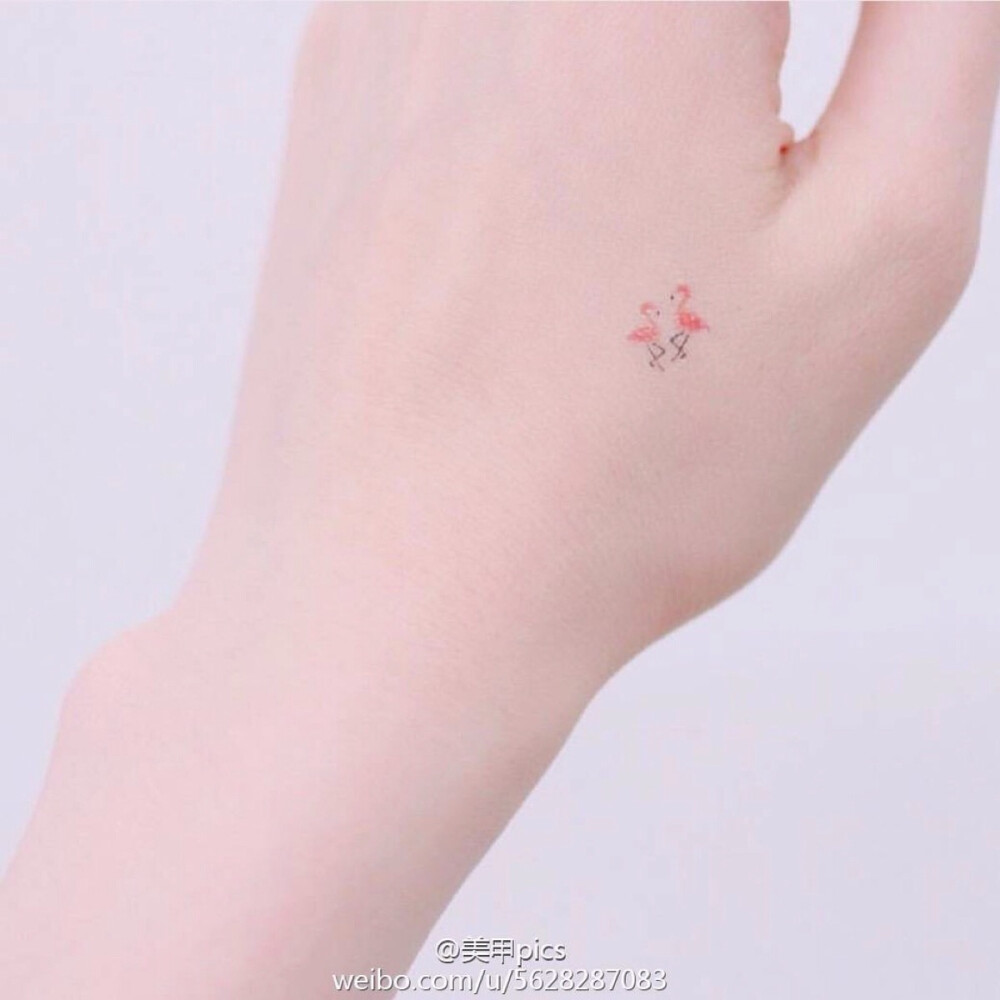 火烈鸟