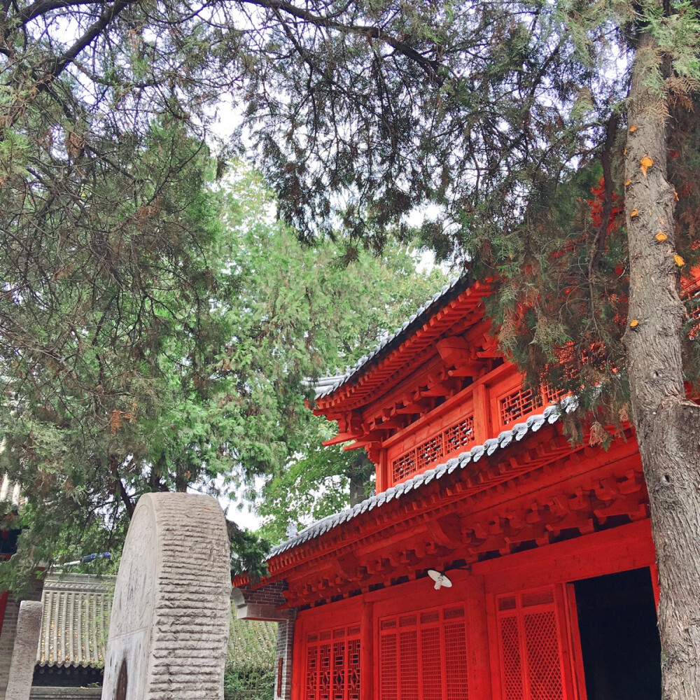 卧龙禅寺