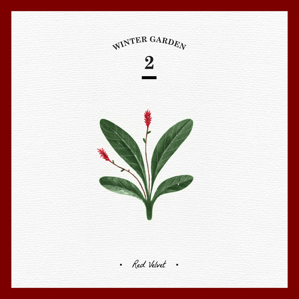 Red Velvet《三个愿望 （Wish Tree）-Winter Garden》