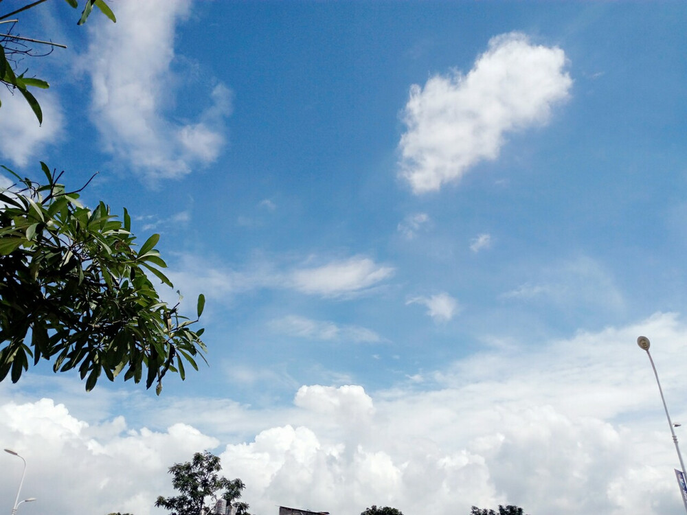 风景正好