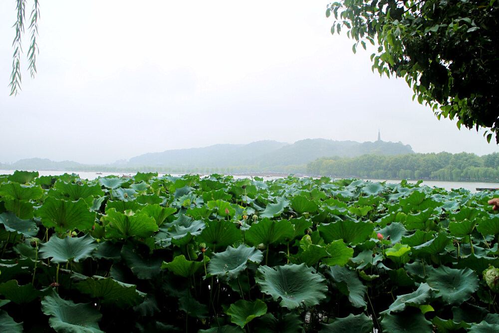 下了一整天的雨，没有蓝天很可惜