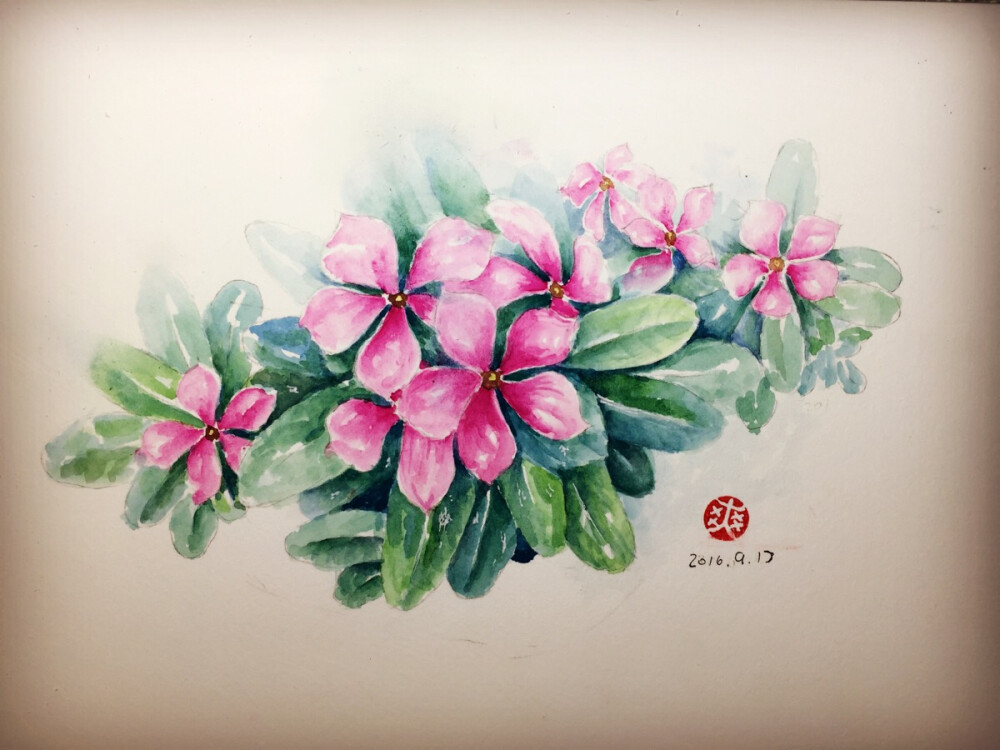 花花草草 水彩 水彩花卉 原创 插画 手绘 作品 清新 日绘 设计 水彩画 插画师 