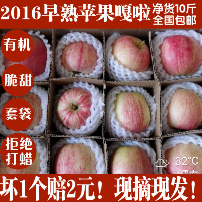 16陕西新鲜早熟苹果嘎啦时令生鲜水果PK洛川栖霞红富士10斤apple