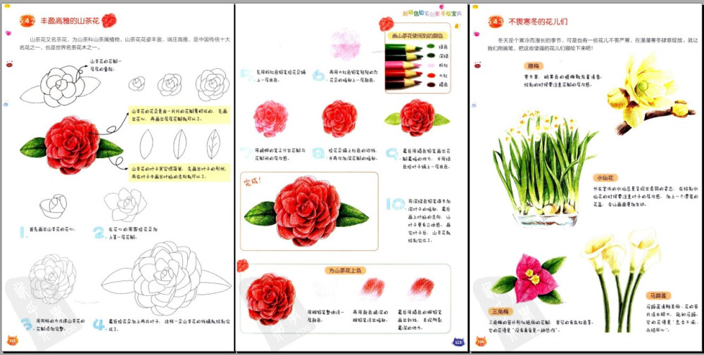 色铅笔绘画素材：超级色铅笔创意手绘宝典 彩色铅笔素描画画素材