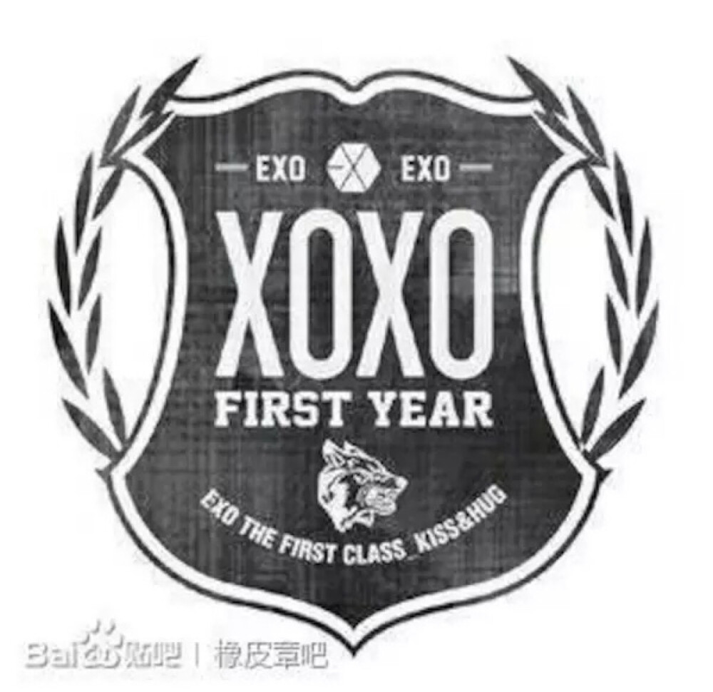 还记得四年前的XOXO First Year吗？