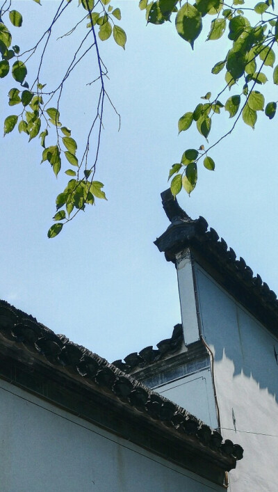 by徽檩。