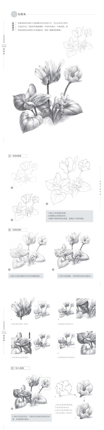 本案例摘自人民郵電出版社出版的《鉛筆素描繪畫從入門到精通（超值版）》http://product.dangdang.com/23719452.html