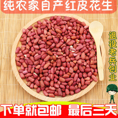 花生红皮花生四粒红花生米小粒花生仁 农家自产新货五谷杂粮250g