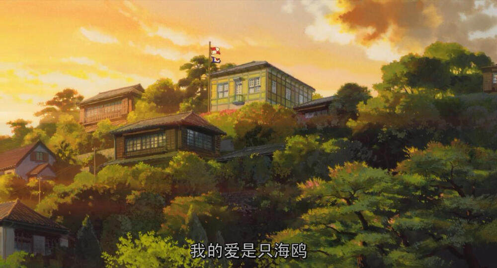 虞美人盛开的山坡