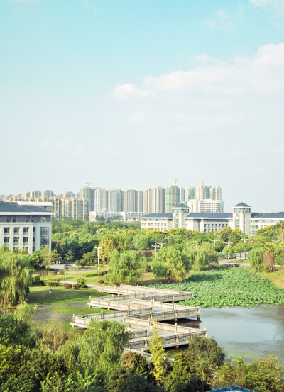 九龙湖野生动物园