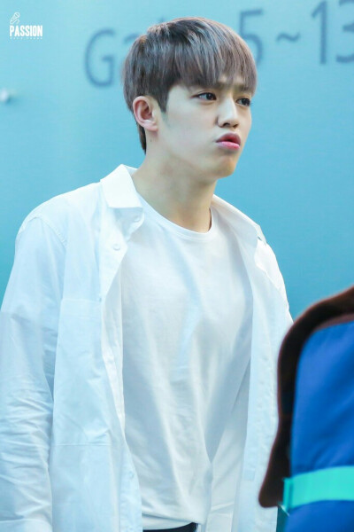 Seventeen 崔胜澈S.coups