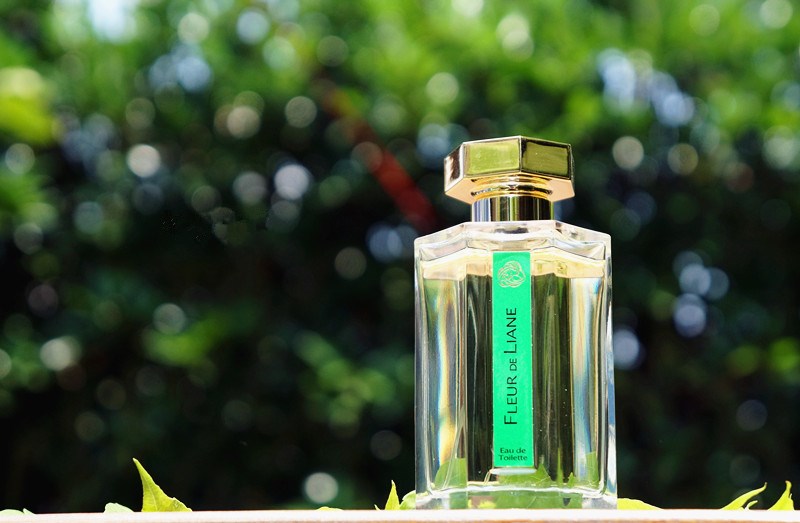 lartisan 阿蒂仙停产 fleur de liane 藤之花/香杉雨藤 热带雨林