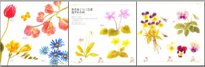 你好，彩绘水色四季花之绘（预约水彩画的浪漫花绘时光，田代知子与你一起约绘在浪漫的水色绘画季节）