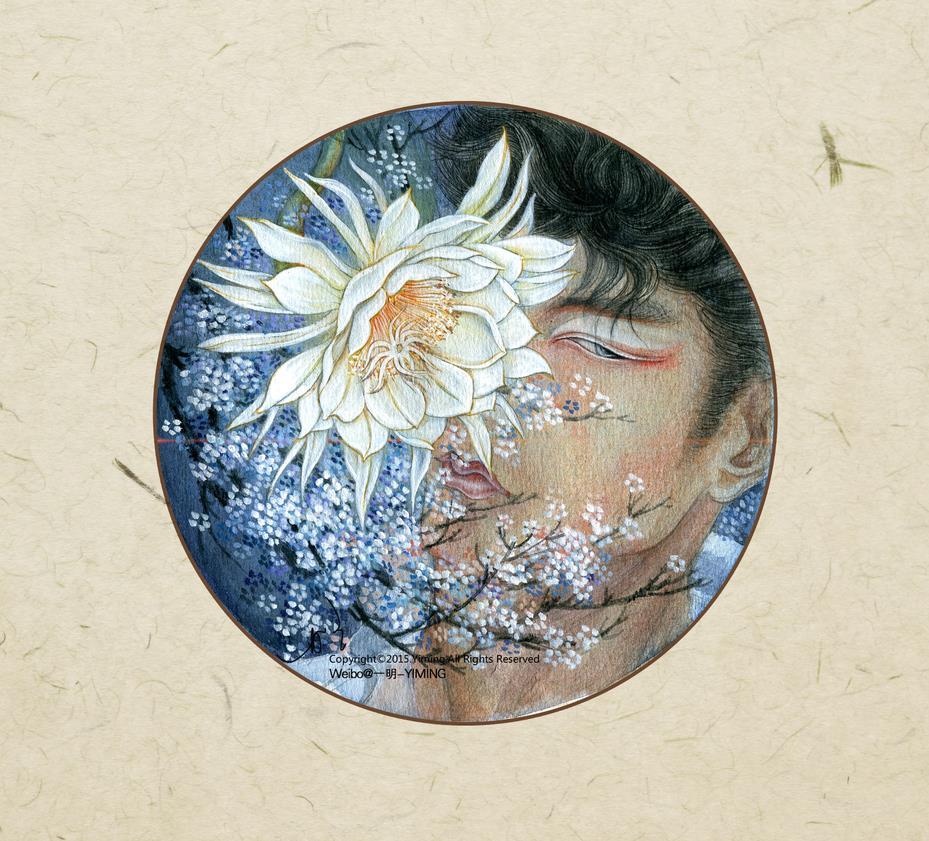 莳花与人作者一明