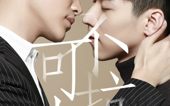 不可抗力海报 王博文 孟瑞