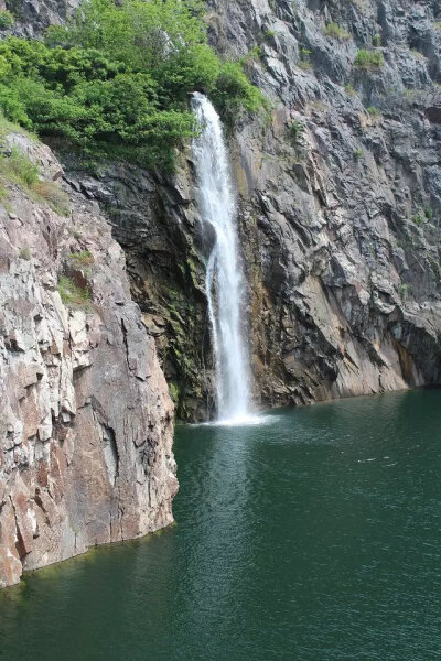 辰山植物园