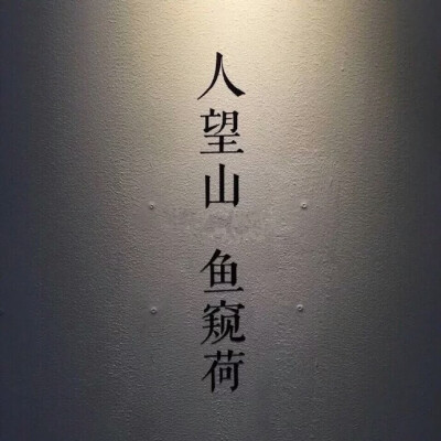 背景图。