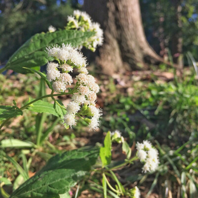 随手来几张哦