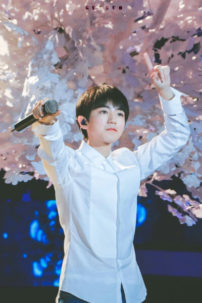 #王俊凯 #TFBOYS 0921王俊凯生日会 高清 帅气 