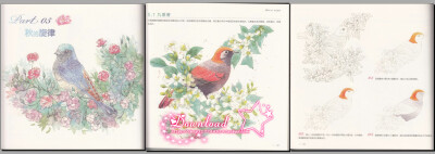 浪漫水彩课——花间鸟儿手绘技法
水色斑斓的鸟儿绘