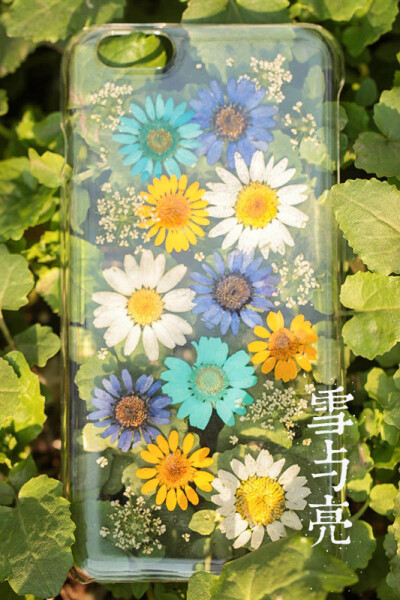 DIY手工滴文艺清新胶永生花干花手机壳IPHONE系列蓝黄多彩小雏菊