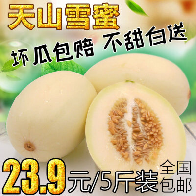 新鲜甜瓜 香瓜 白瓜 蜜瓜 农家 绿色 有机 新鲜水果 特价 5斤包邮