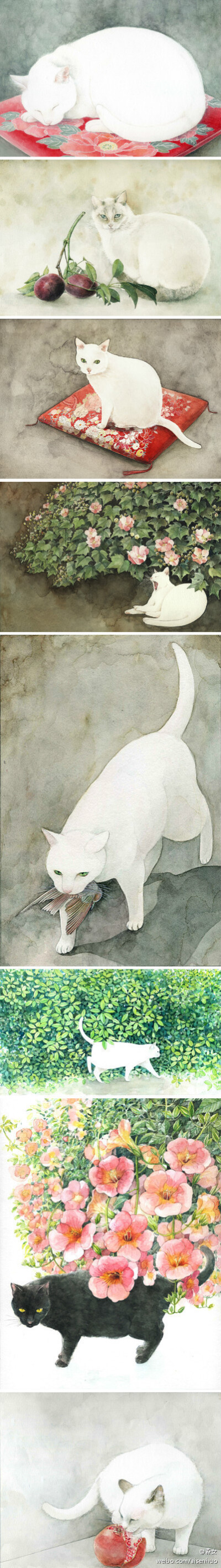 #森女绘画本子#猫画儿。山田绿东京插画师...