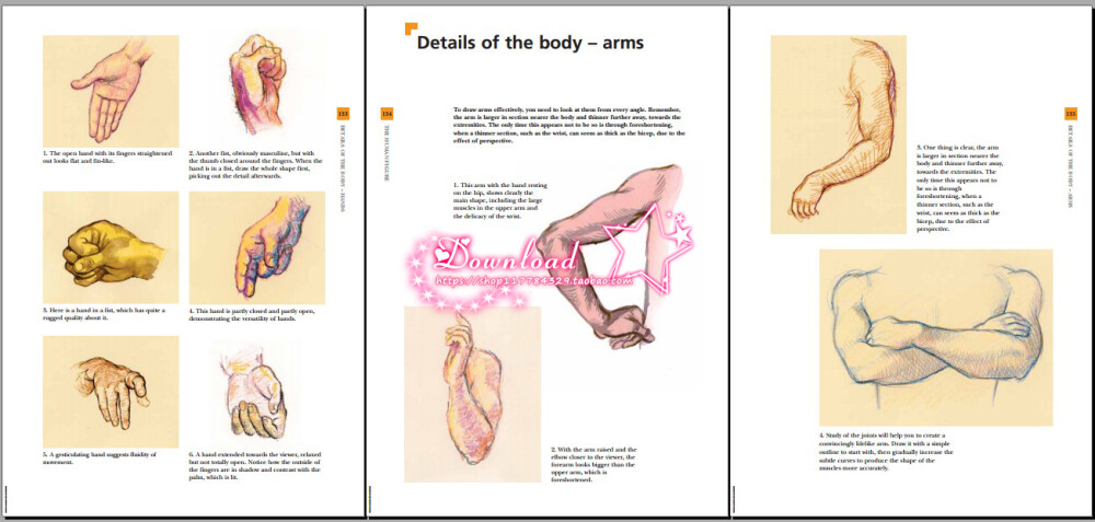 绘画调色原理设计素材：The Fundamentals of Drawing in Colour