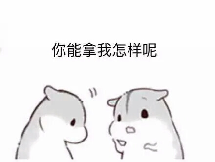 _小仓鼠表情包。