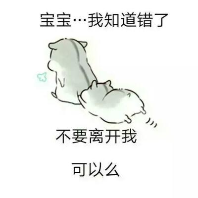 _小仓鼠表情包。