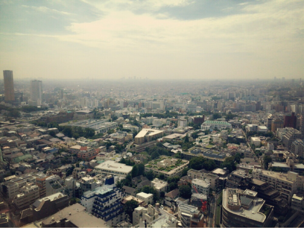 東京、渋谷、鸟视图