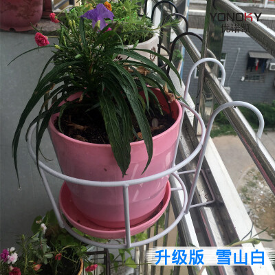 欧式铁艺护栏花架壁挂栏杆悬挂阳台吊兰绿萝免装简易花盆架子特价