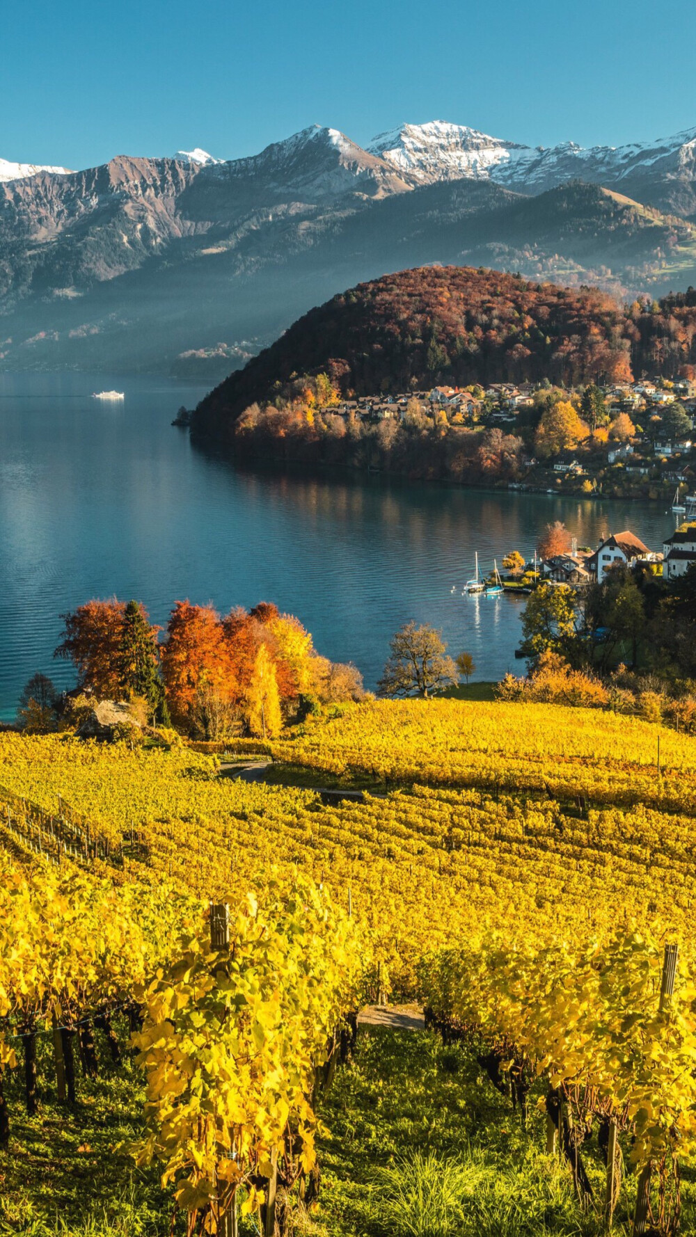 Spiez