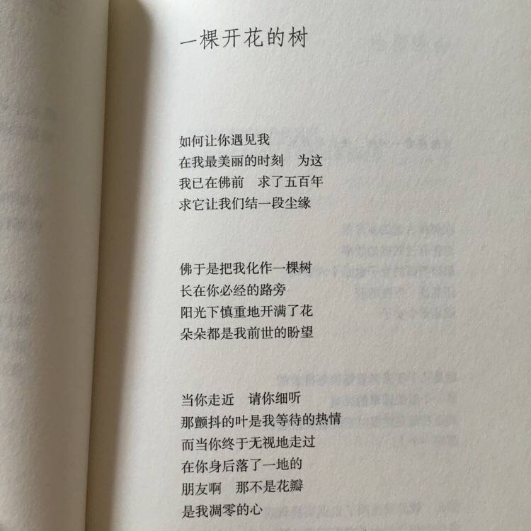 书摘 作者：席慕蓉