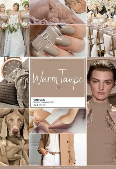 暖灰褐 / Warm Taupe
PANTONE 色号 16-1318
