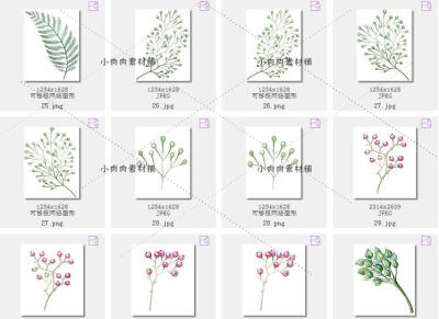 多肉拼盘花盆迎宾木板文艺婚庆创意手绘水彩PNG设计PS素材png65