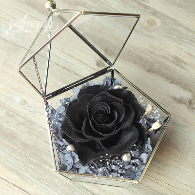 思慕巨型黑玫瑰永生花礼盒玻璃罩 七夕情人节礼物顺丰