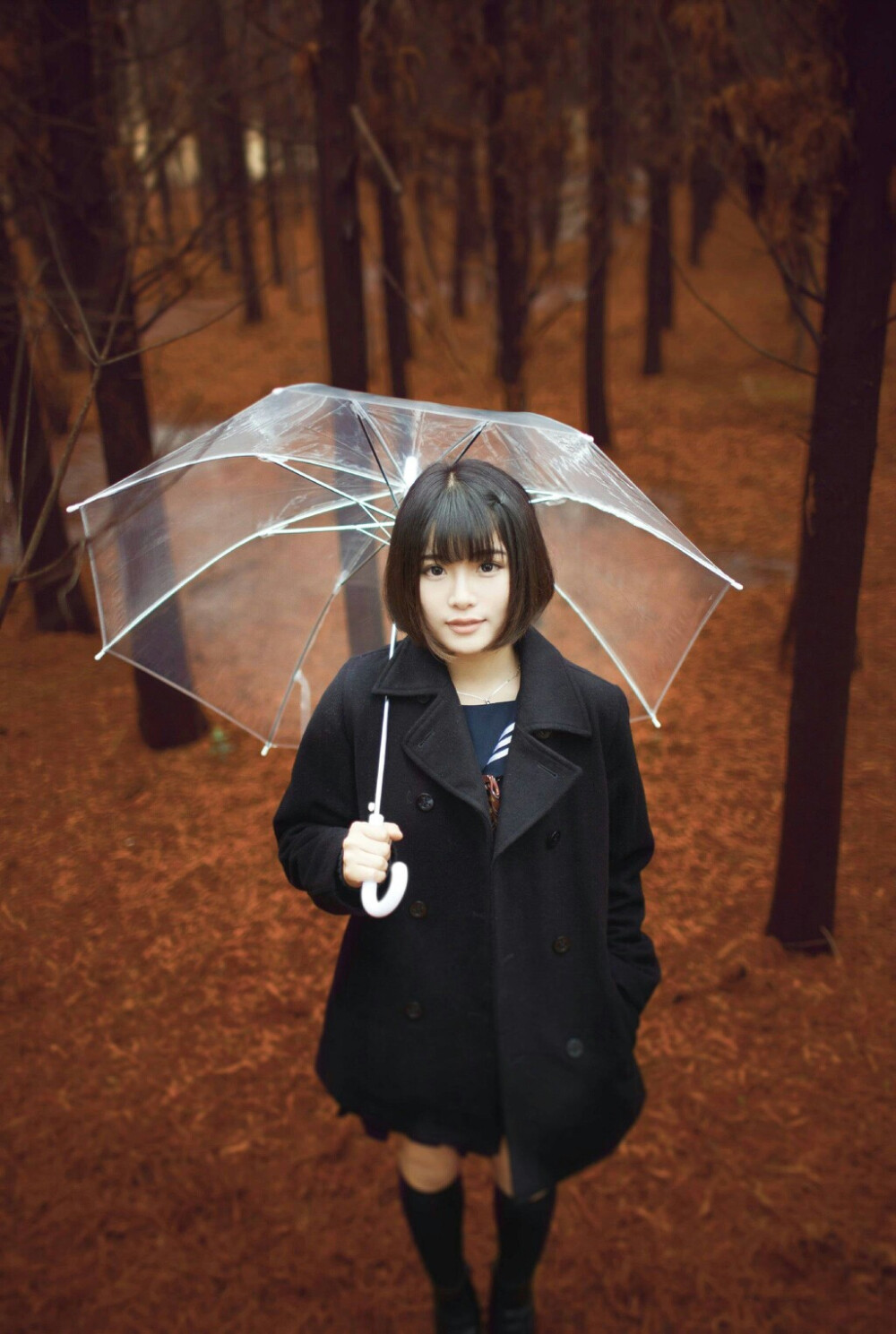 [春の温度] 二月末,细雨纷,绚烂美丽。model:@阿惹妹妹 